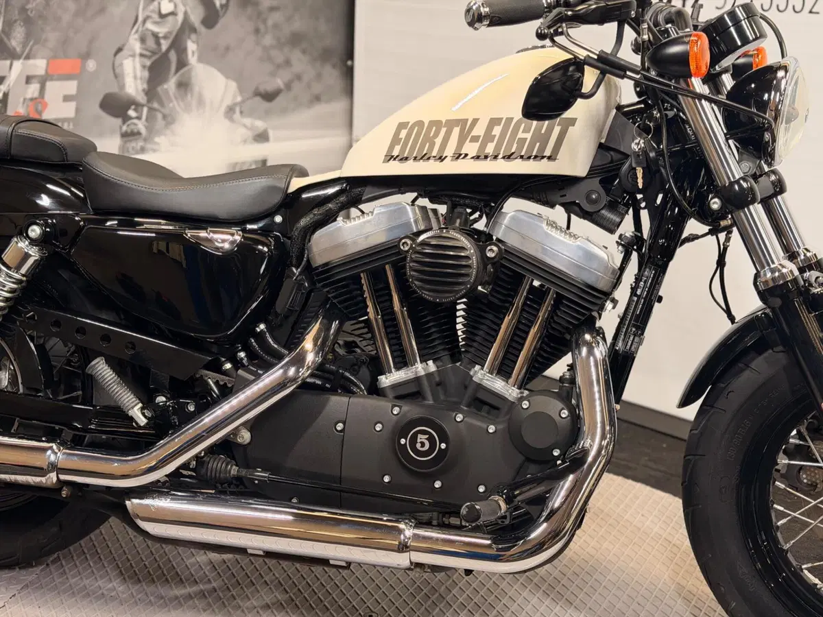 Harley-Davidson 1200 Forty-Eight (2010 - 15) (5)