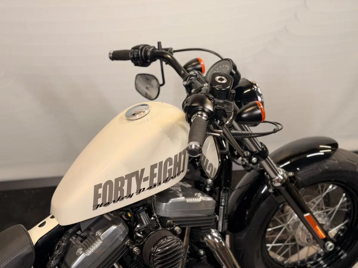 Harley-Davidson 1200 Forty-Eight (2010 - 15) (6)
