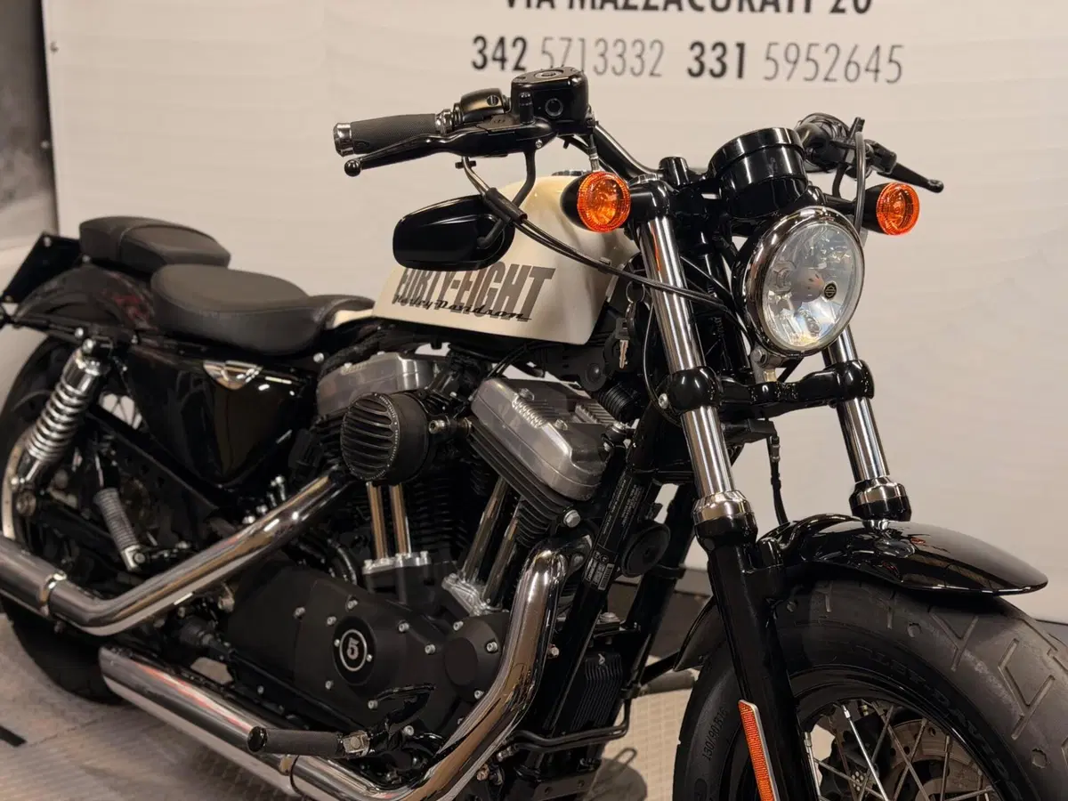 Harley-Davidson 1200 Forty-Eight (2010 - 15) (7)