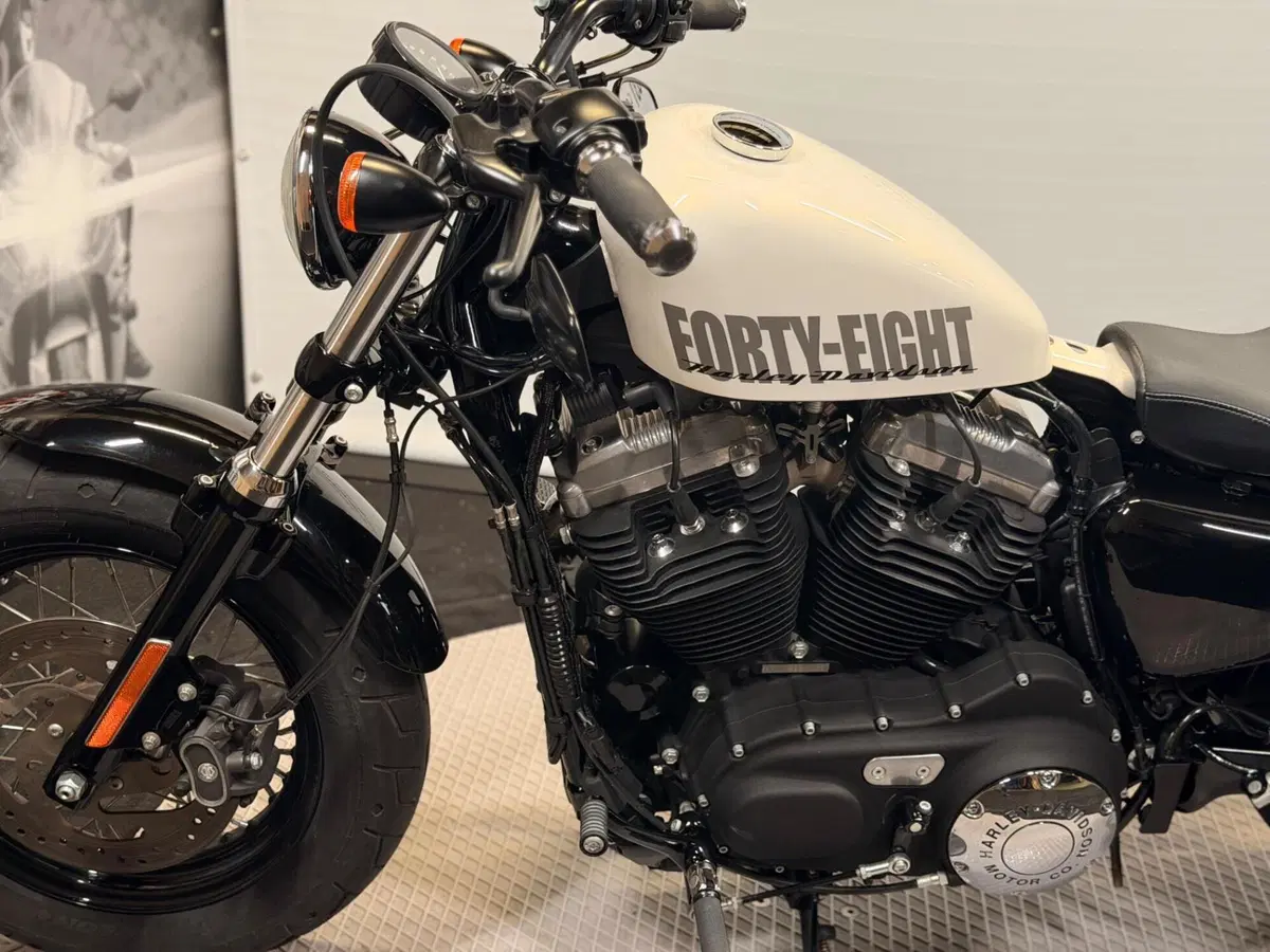 Harley-Davidson 1200 Forty-Eight (2010 - 15) (10)