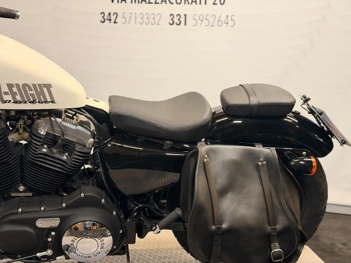 Harley-Davidson 1200 Forty-Eight (2010 - 15) (11)