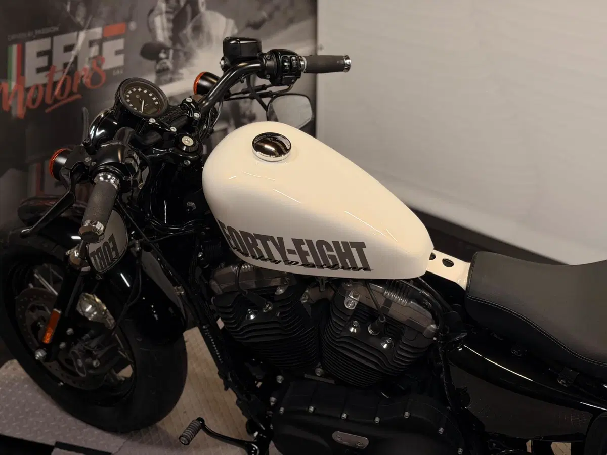 Harley-Davidson 1200 Forty-Eight (2010 - 15) (12)