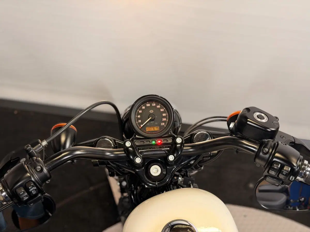 Harley-Davidson 1200 Forty-Eight (2010 - 15) (15)