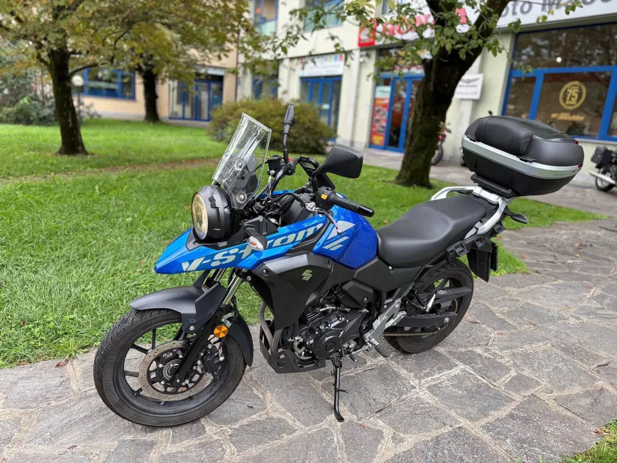 Suzuki V-Strom 250 (2017 - 20) (2)
