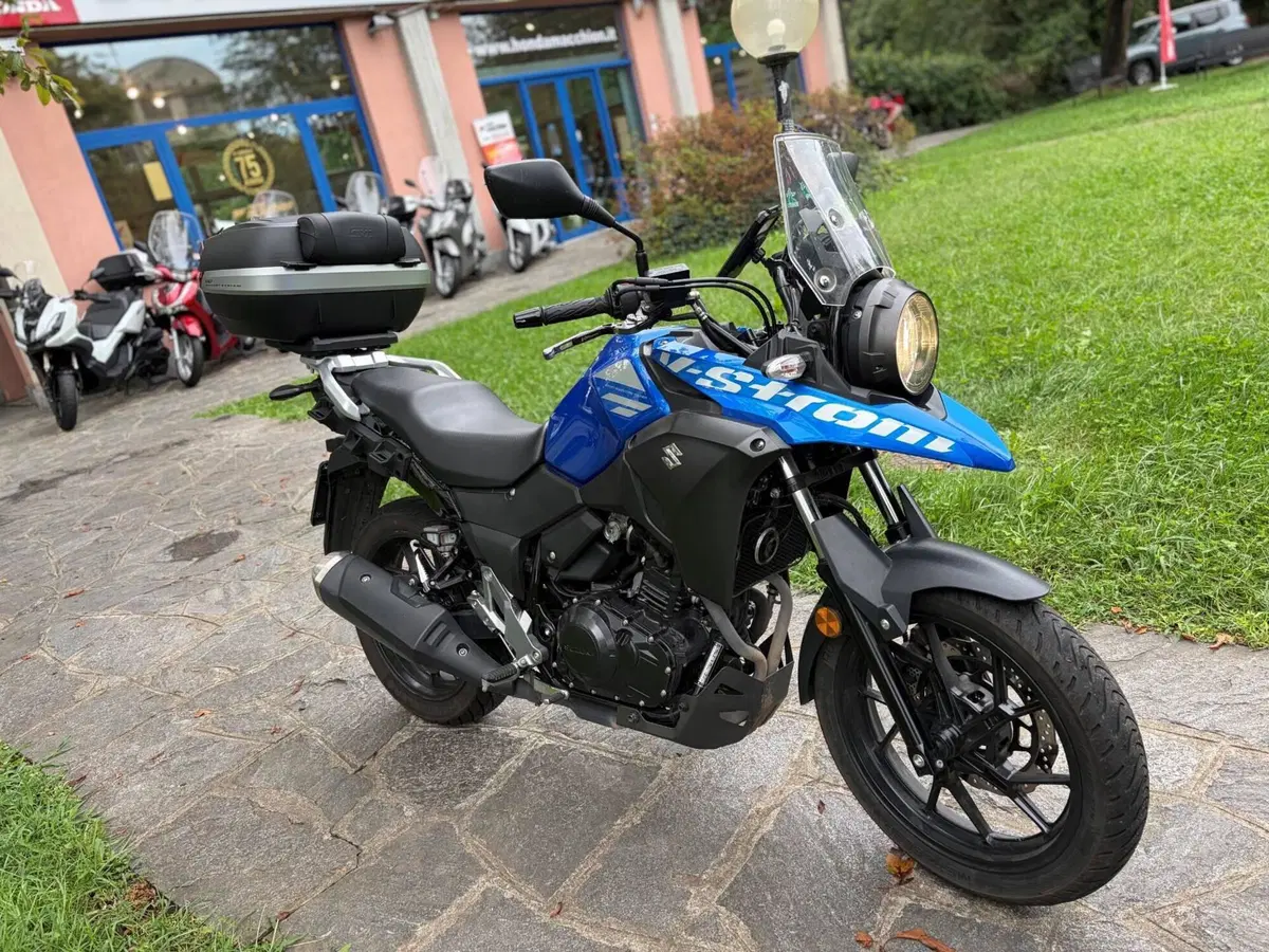 Suzuki V-Strom 250 (2017 - 20) (4)