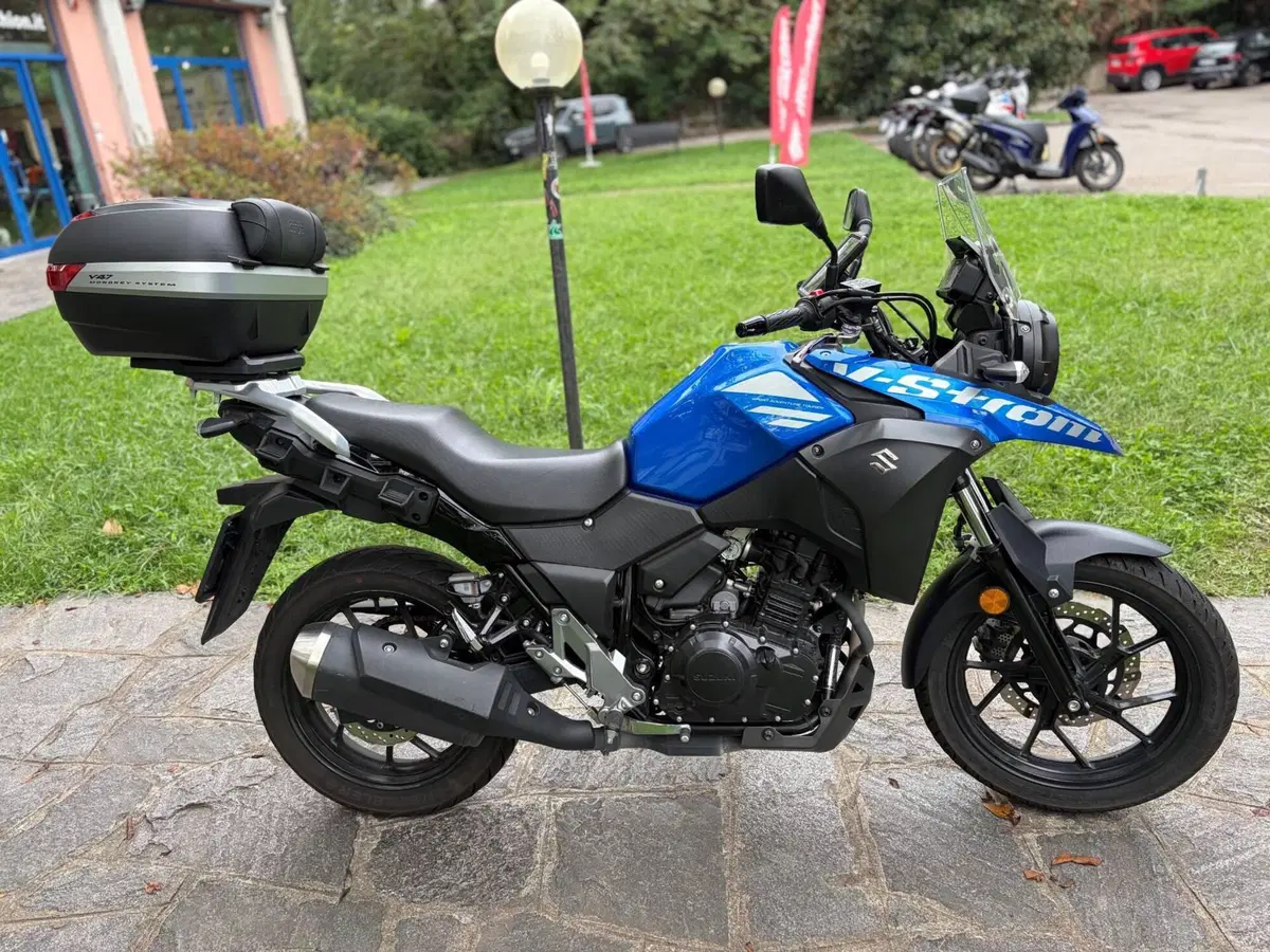 Suzuki V-Strom 250 (2017 - 20) (5)