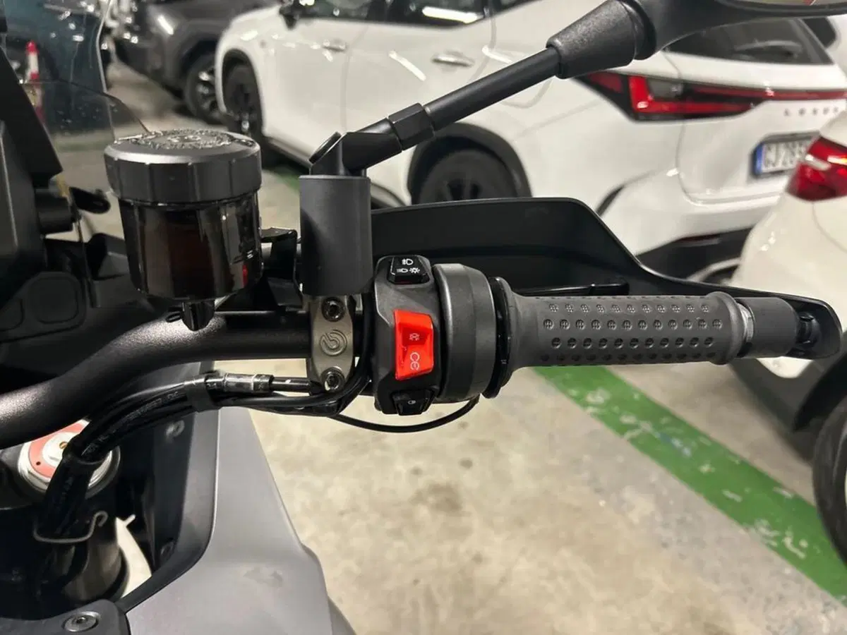 Moto Guzzi Stelvio PFF (2024 - 26) (8)