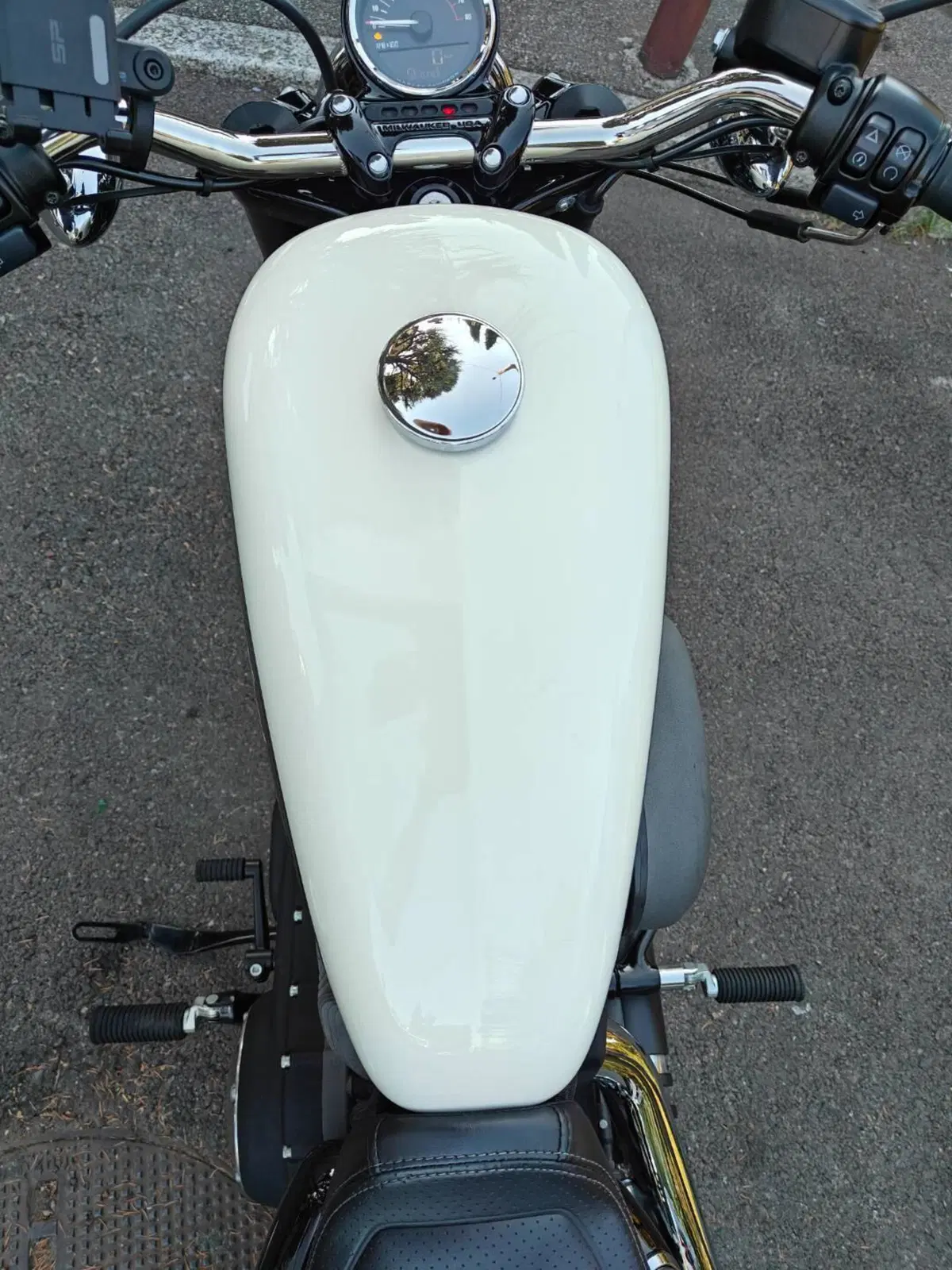 Harley-Davidson 1200 Roadster (2017 - 20) - XL 1200R (4)