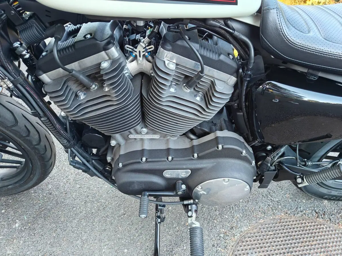 Harley-Davidson 1200 Roadster (2017 - 20) - XL 1200R (6)