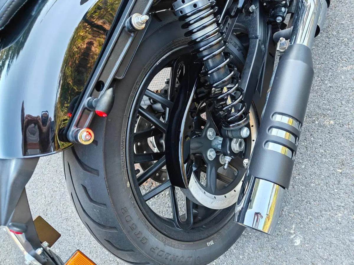 Harley-Davidson 1200 Roadster (2017 - 20) - XL 1200R (7)