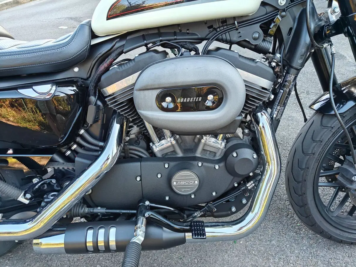 Harley-Davidson 1200 Roadster (2017 - 20) - XL 1200R (8)