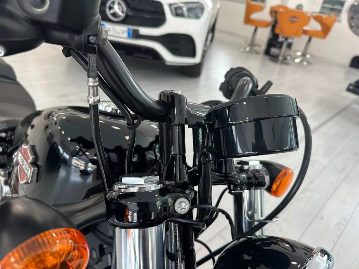 Harley-Davidson 1200 Forty-Eight (2016 - 20) (13)