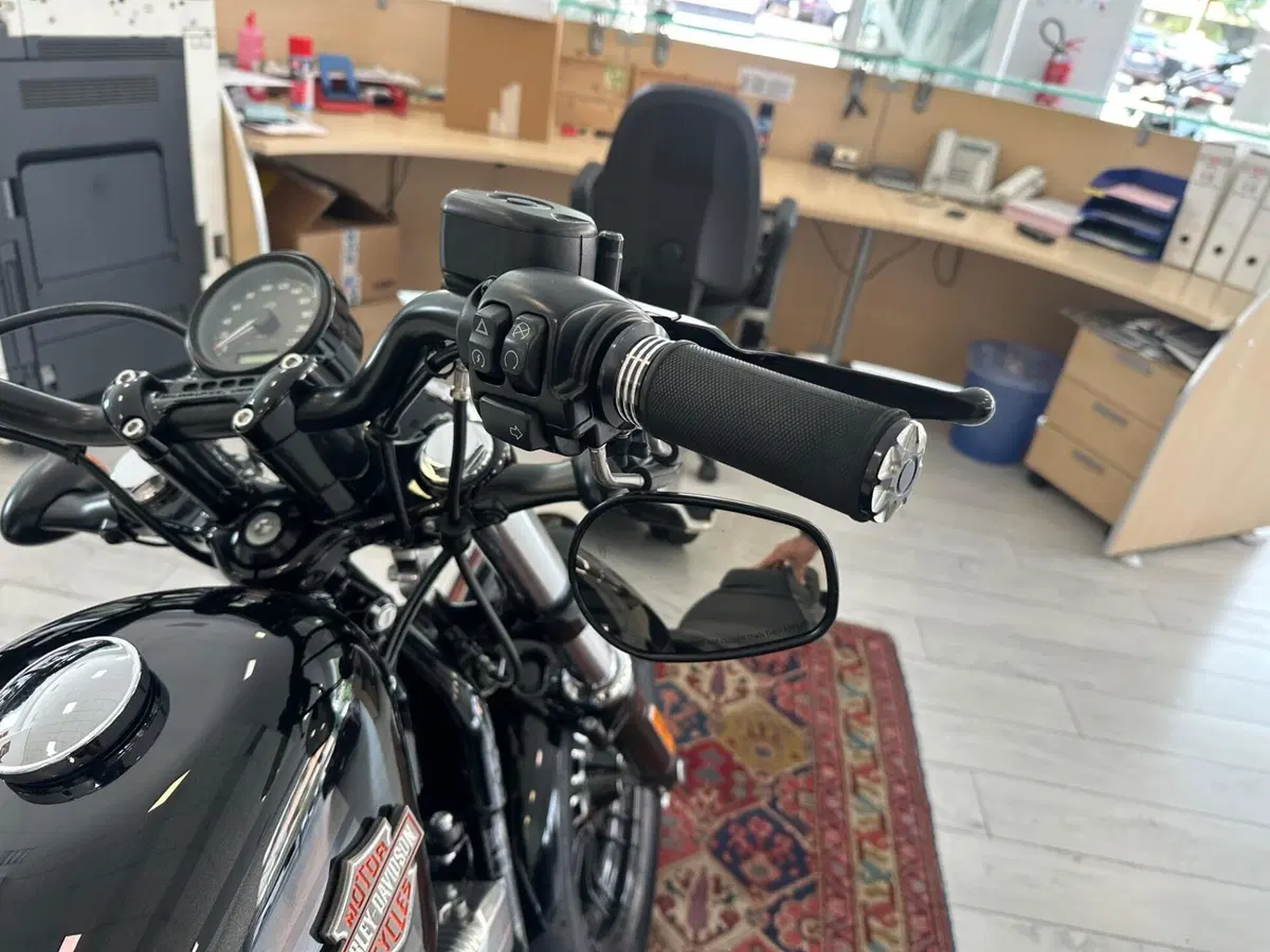 Harley-Davidson 1200 Forty-Eight (2016 - 20) (11)