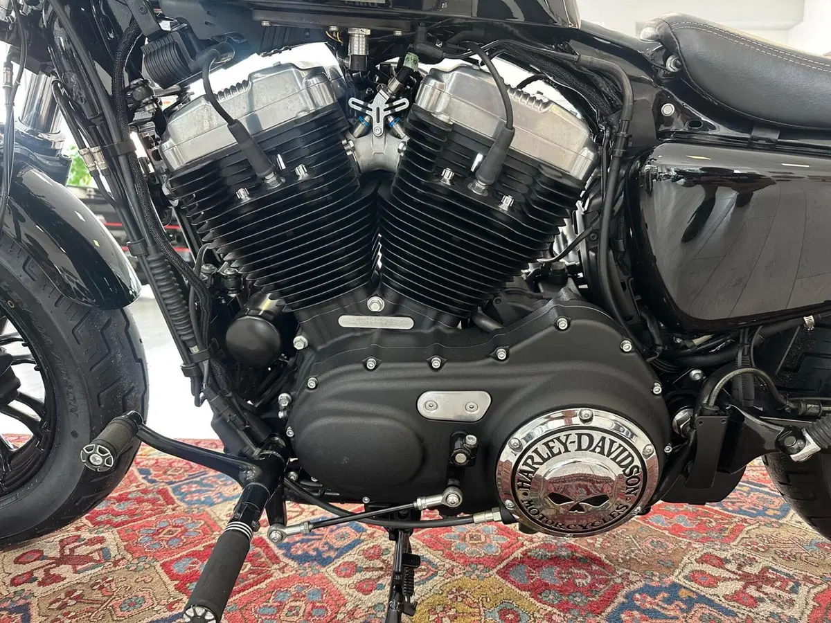 Harley-Davidson 1200 Forty-Eight (2016 - 20) (7)