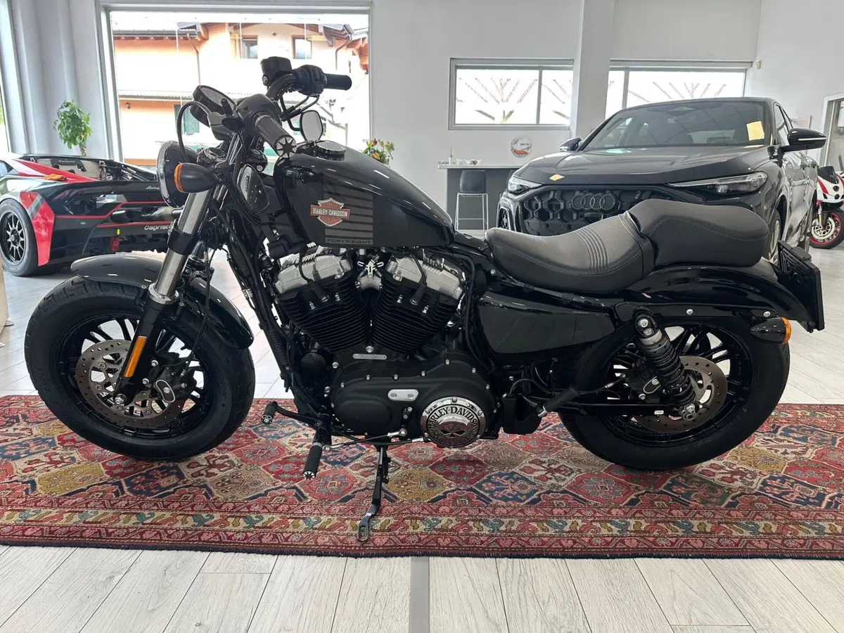 Harley-Davidson 1200 Forty-Eight (2016 - 20) (3)