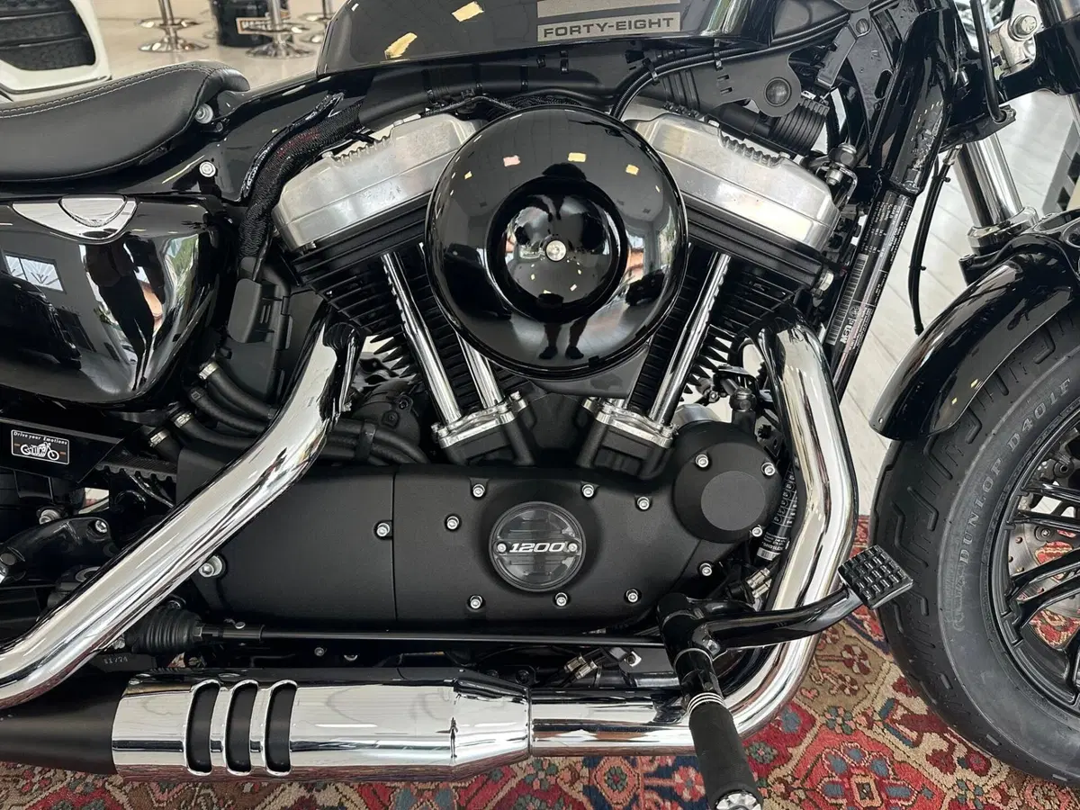 Harley-Davidson 1200 Forty-Eight (2016 - 20) (6)
