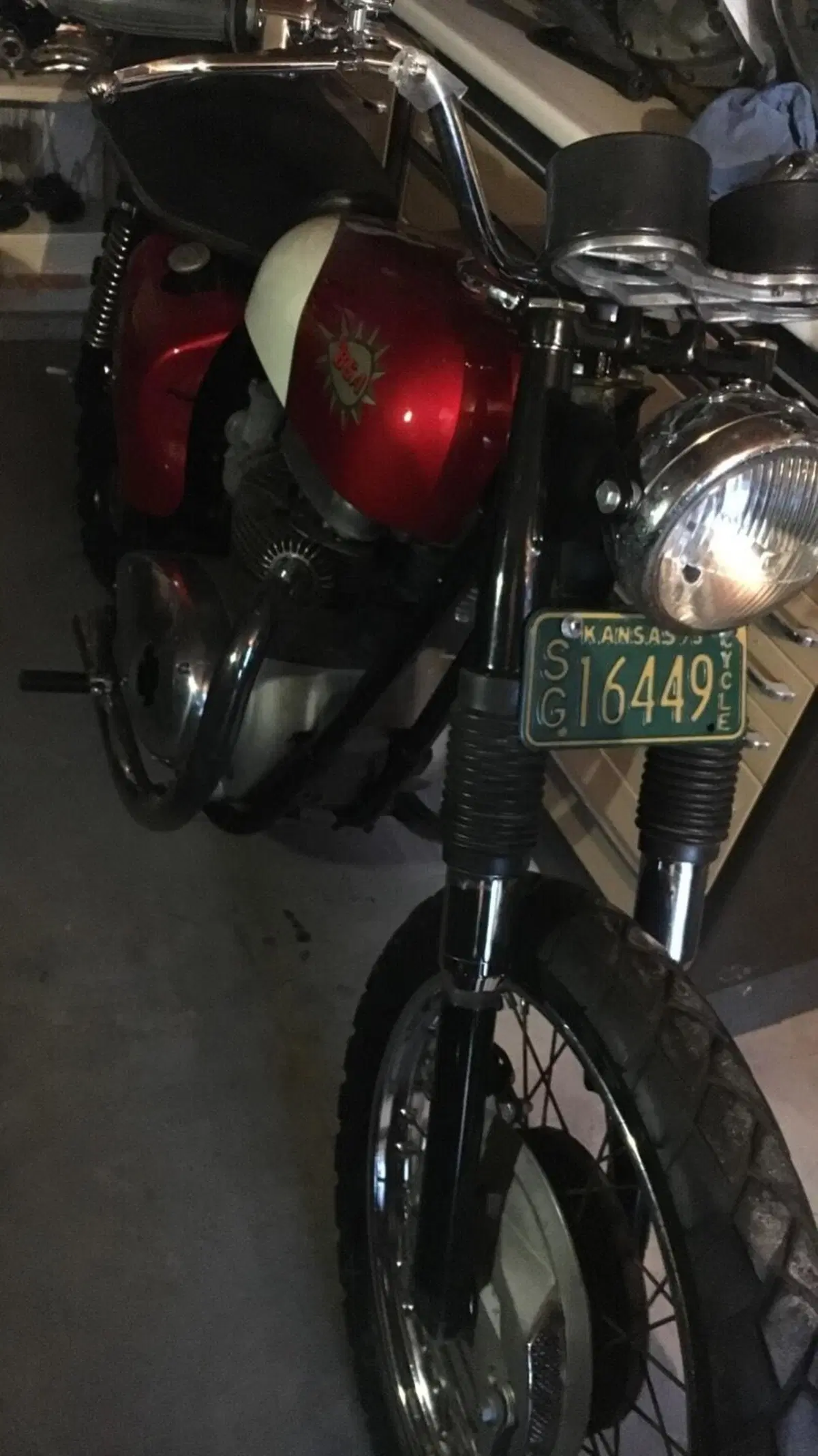 Bsa Firebird scrambler  (12)