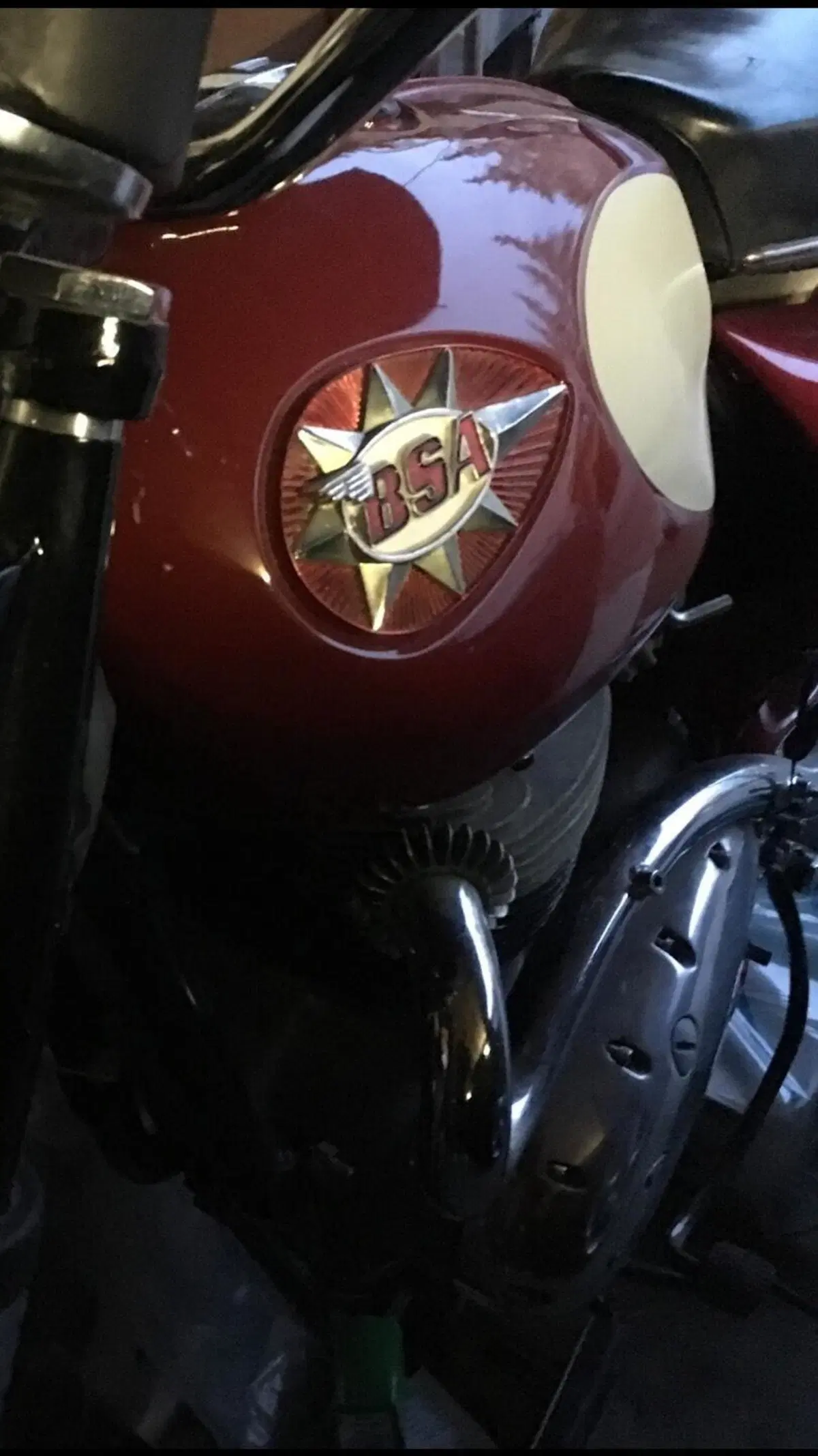 Bsa Firebird scrambler  (13)