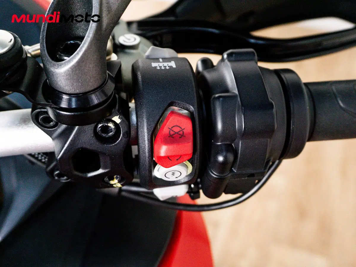 Ducati Multistrada 950 S (2021) (15)