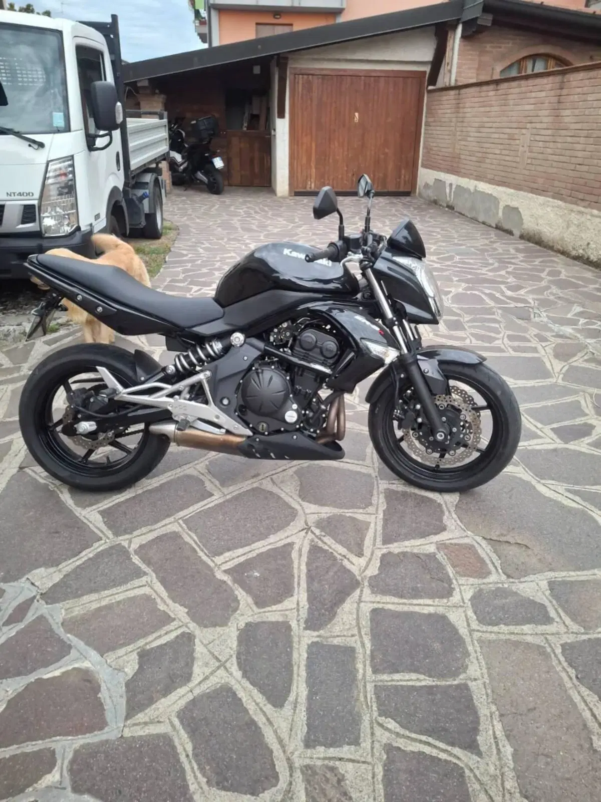 Kawasaki ER-6N (2009 - 11)