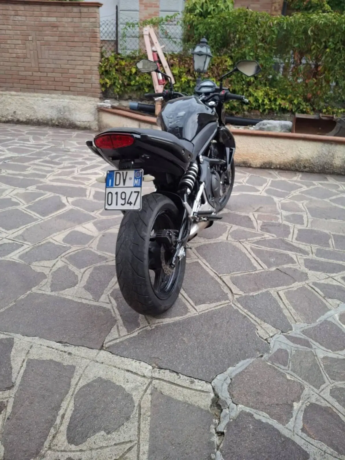 Kawasaki ER-6N (2009 - 11) (2)