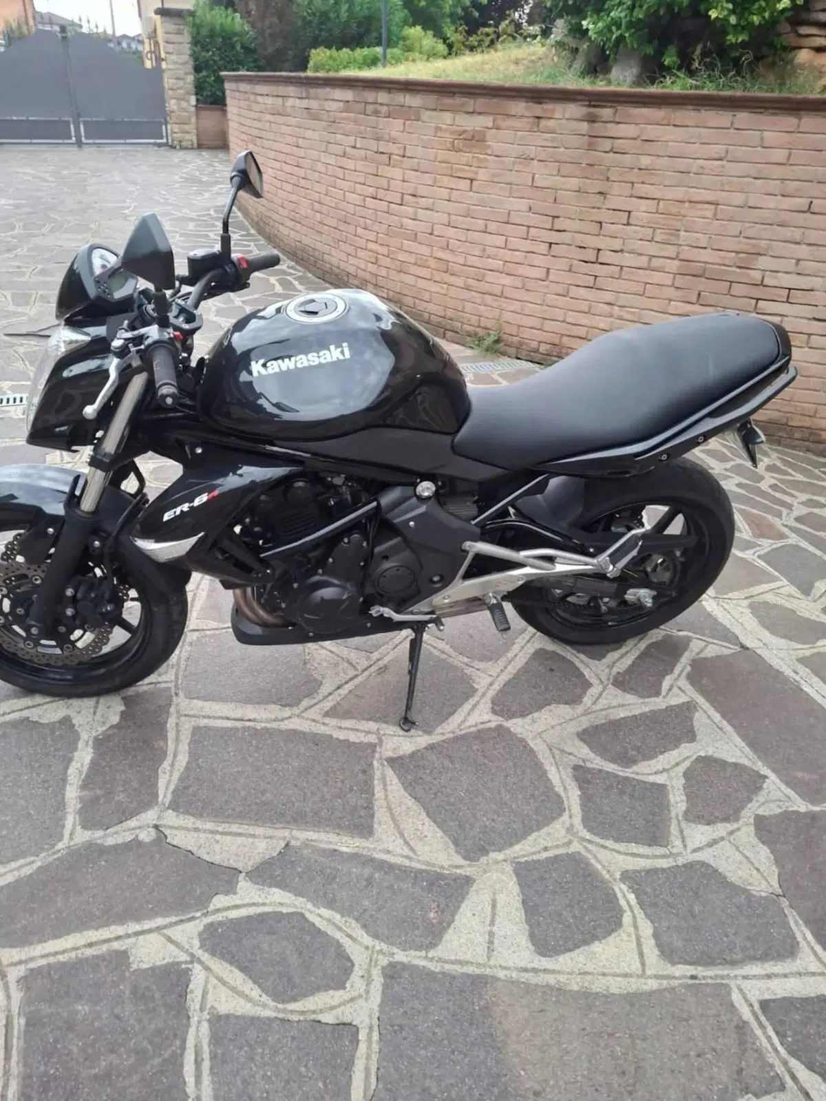 Kawasaki ER-6N (2009 - 11) (3)