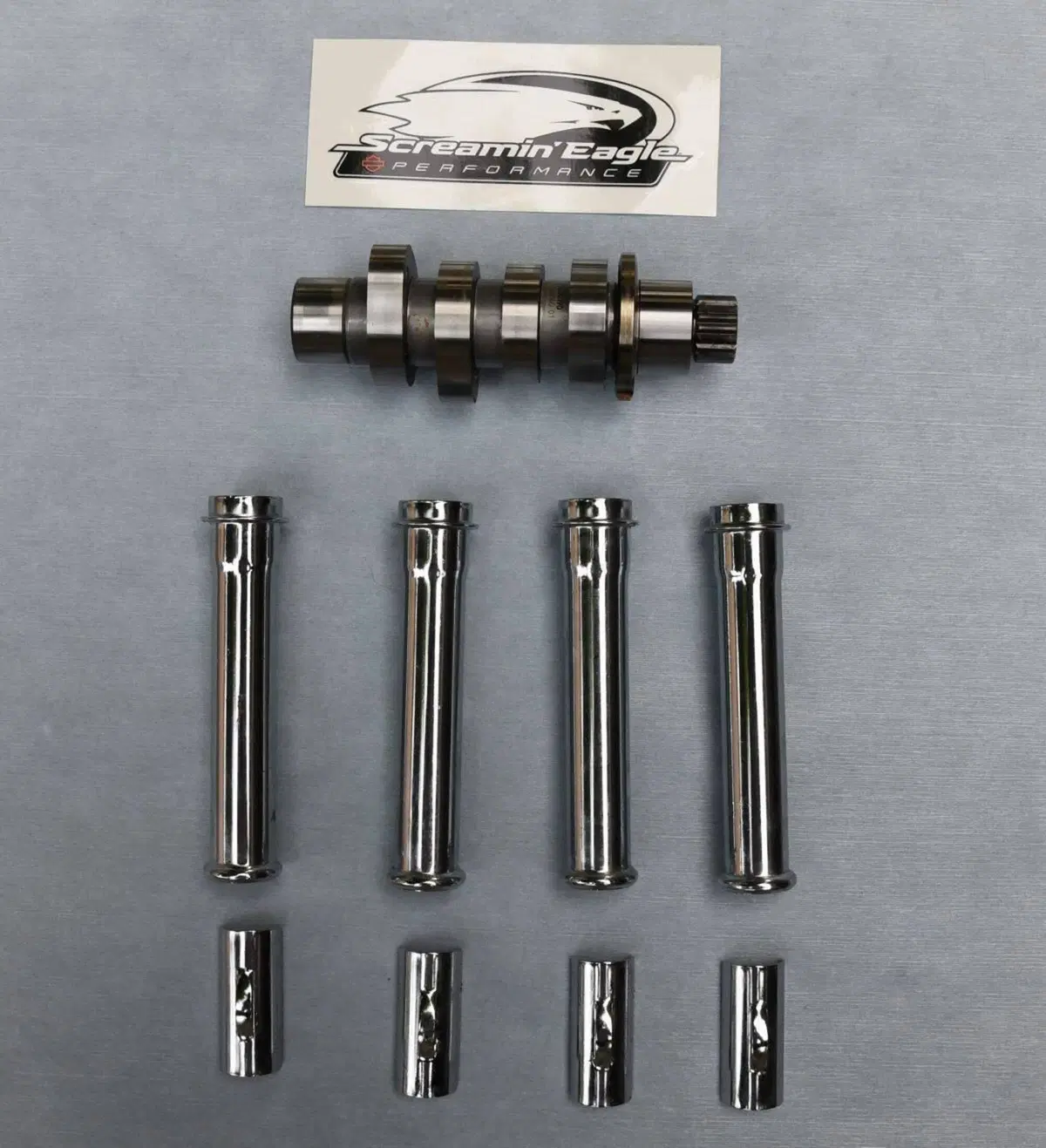 Harley-Davidson Heritage Classic (2021 - 24) (6)
