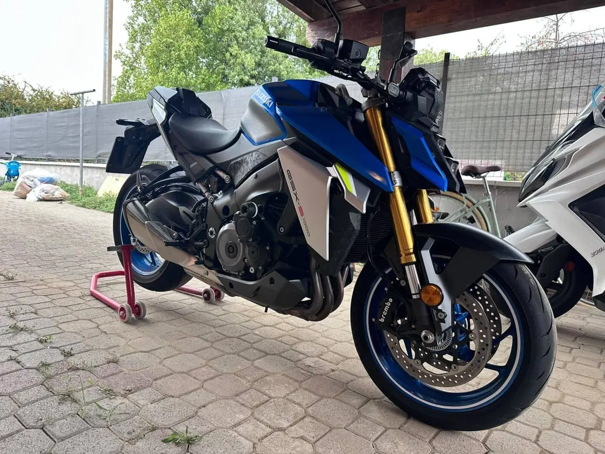 Suzuki GSX-S1000 (2021 - 25) (2)