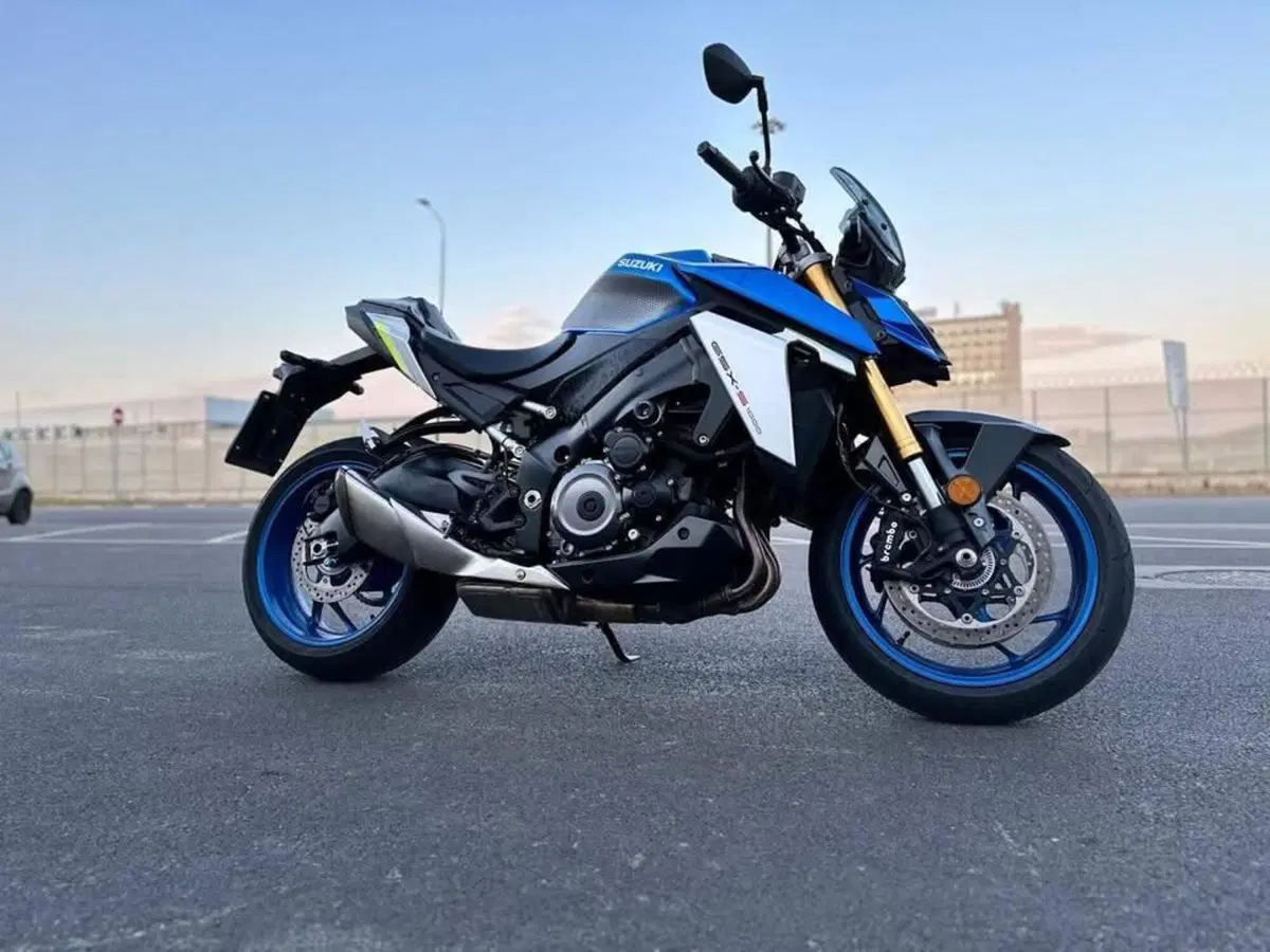 Suzuki GSX-S1000 (2021 - 25) (4)
