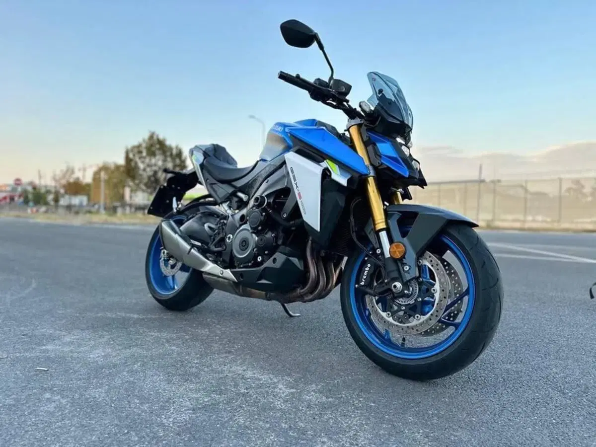 Suzuki GSX-S1000 (2021 - 25) (5)