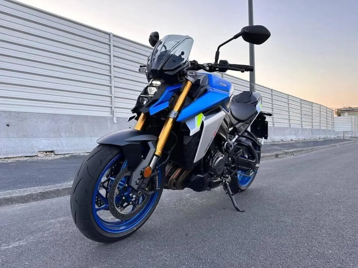 Suzuki GSX-S1000 (2021 - 25) (6)