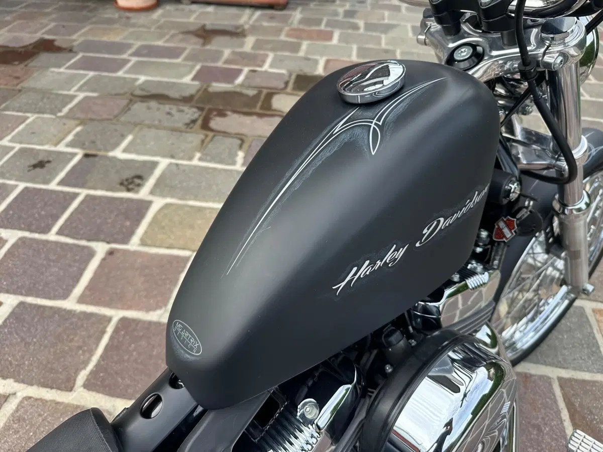 Harley-Davidson 1200 Seventy-Two (2011 - 16) (11)