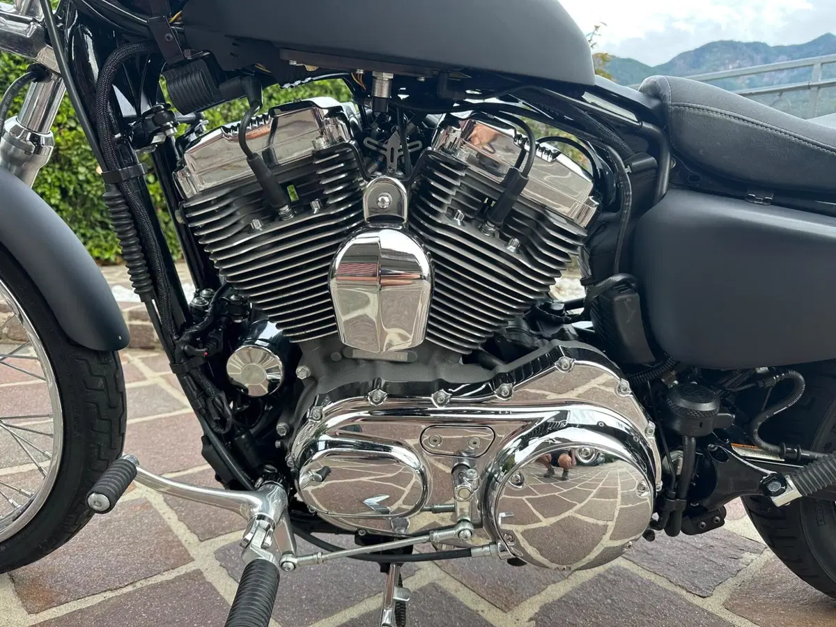 Harley-Davidson 1200 Seventy-Two (2011 - 16) (6)