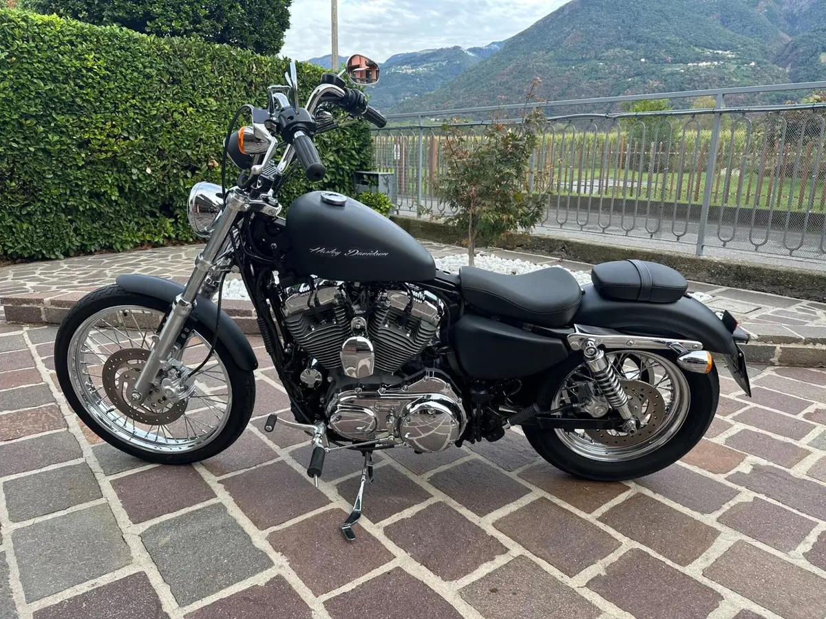 Harley-Davidson 1200 Seventy-Two (2011 - 16) (3)
