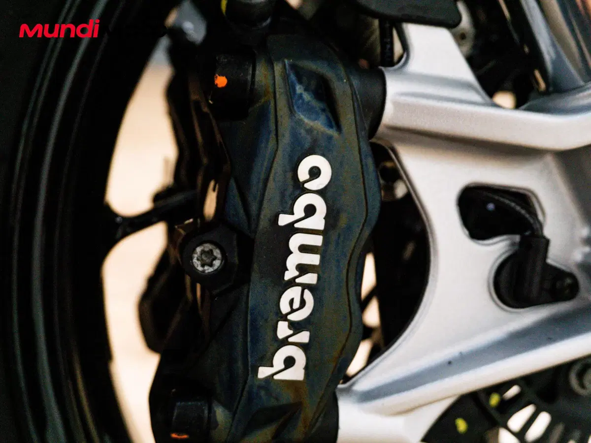 Aprilia Tuono 660 Factory (2022 - 24) (13)