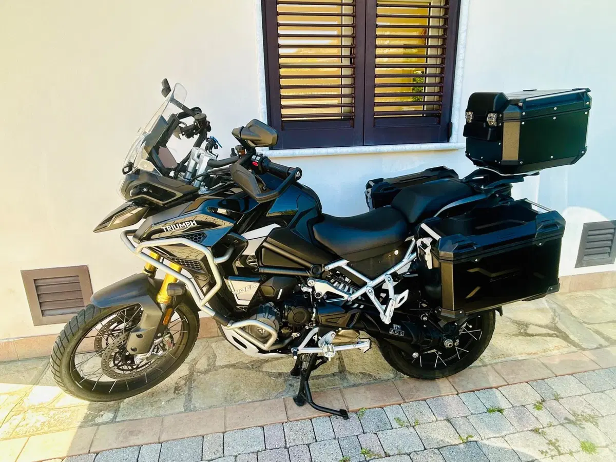 Triumph Tiger 1200 Rally Explorer (2022 - 23) (2)