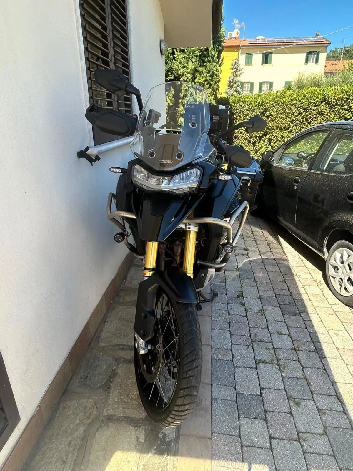 Triumph Tiger 1200 Rally Explorer (2022 - 23) (4)