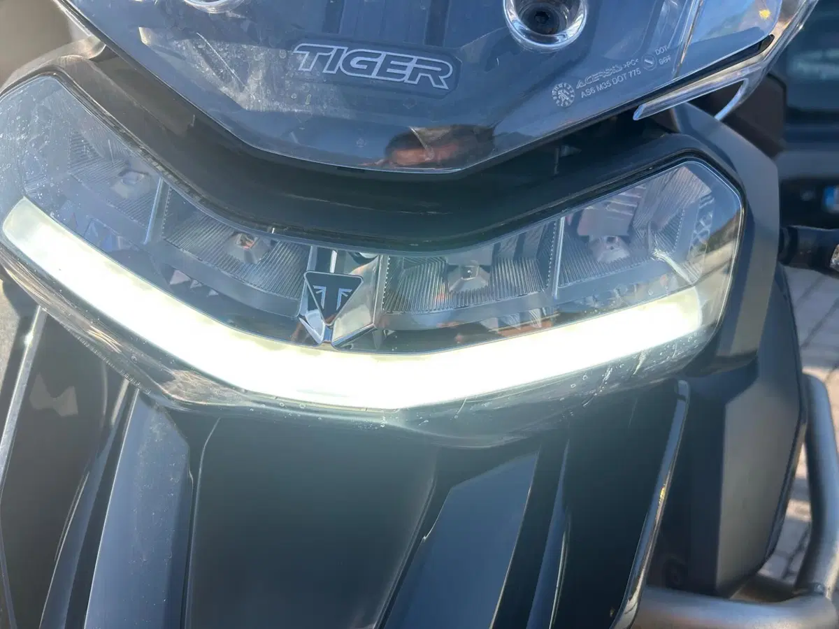 Triumph Tiger 1200 Rally Explorer (2022 - 23) (10)