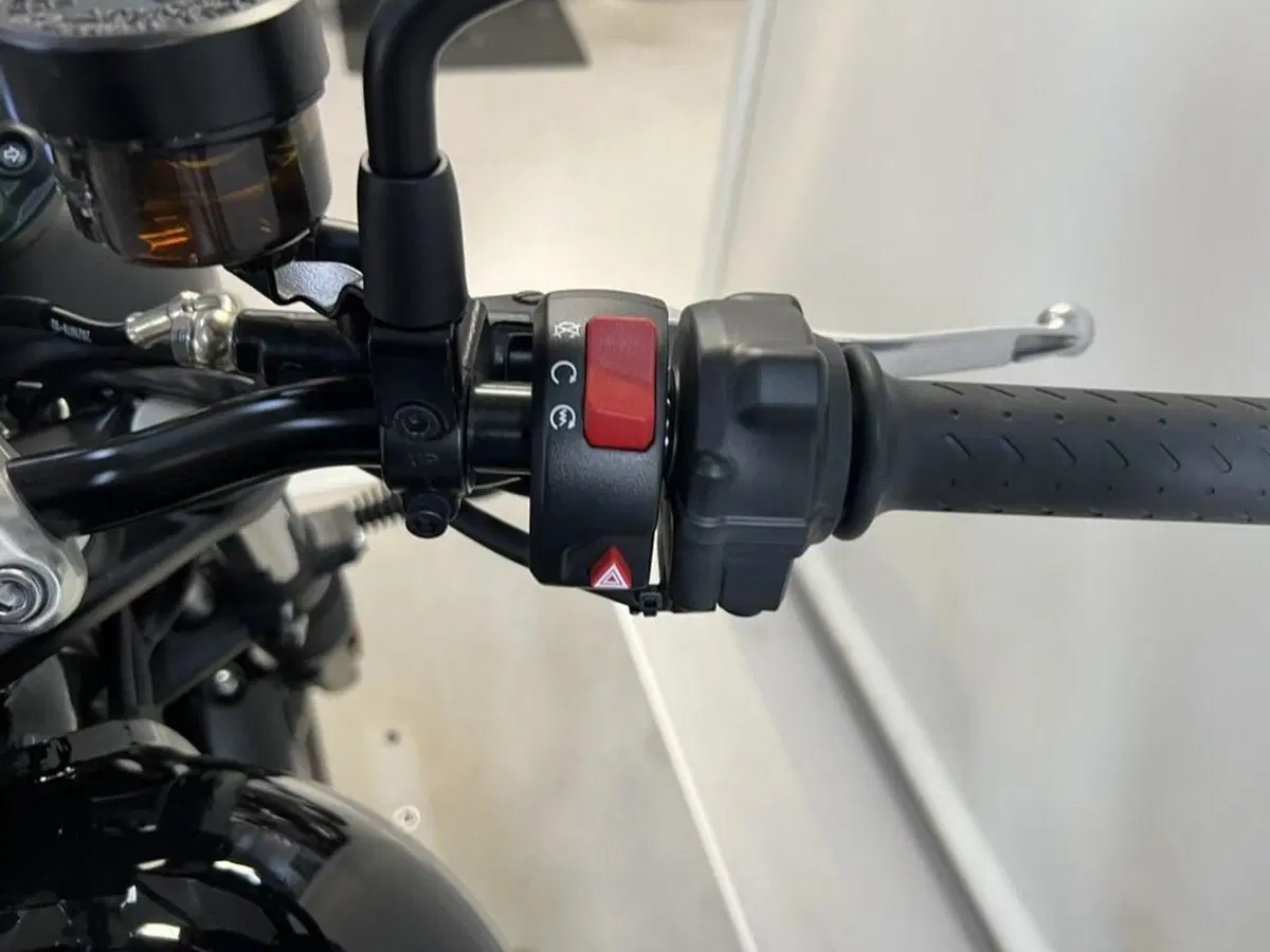 Triumph Speed Twin 900 (2023 - 24) (9)