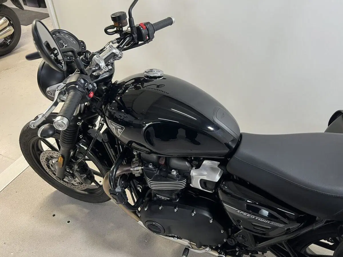 Triumph Speed Twin 900 (2023 - 24) (6)