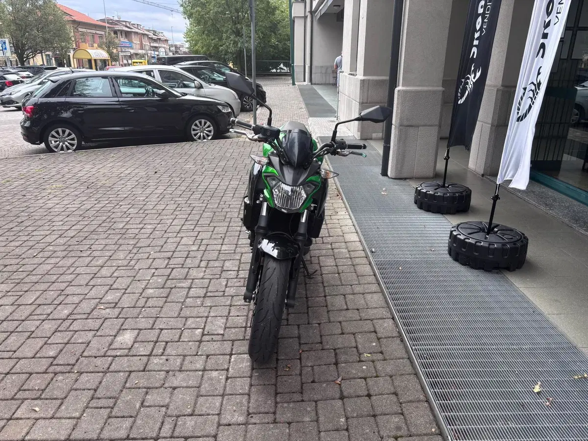 Kawasaki Z 650 (2017 - 19) (3)