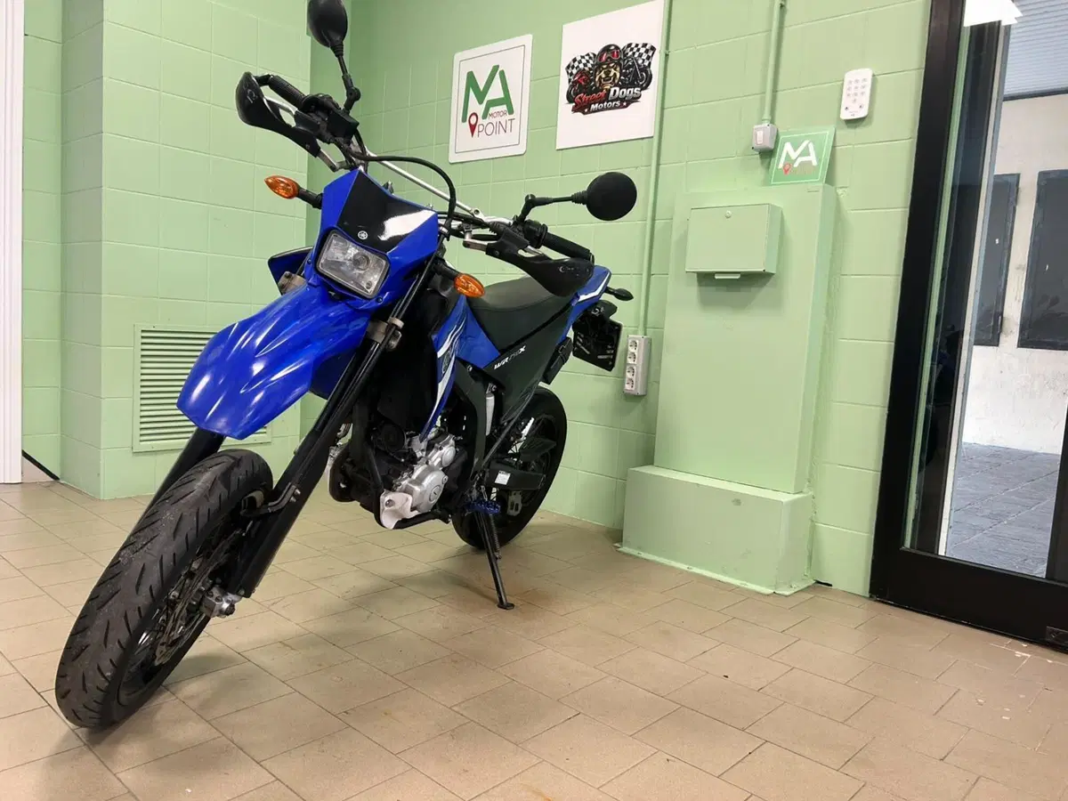 Yamaha WR 250 X (2008 - 13) (10)