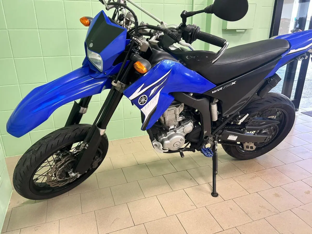 Yamaha WR 250 X (2008 - 13) (12)