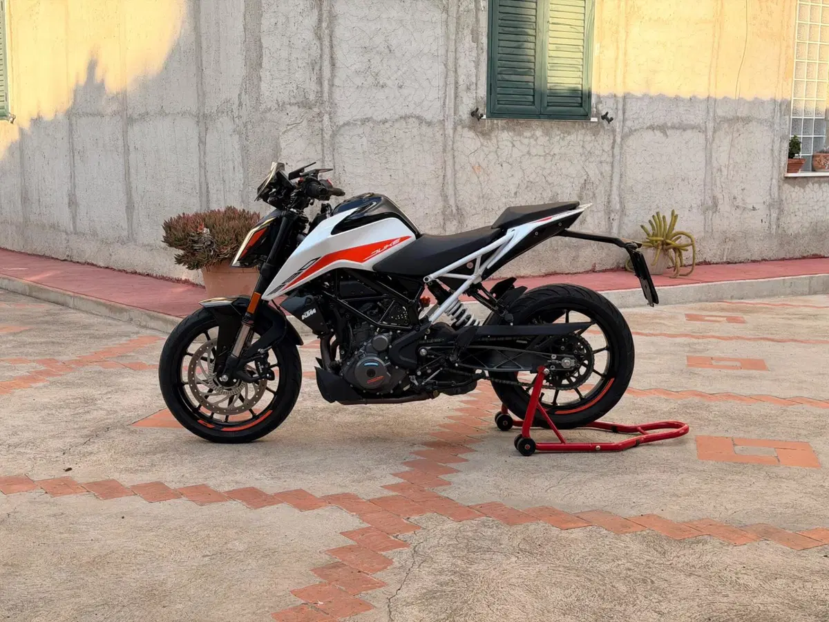 KTM 390 Duke (2021 - 23)