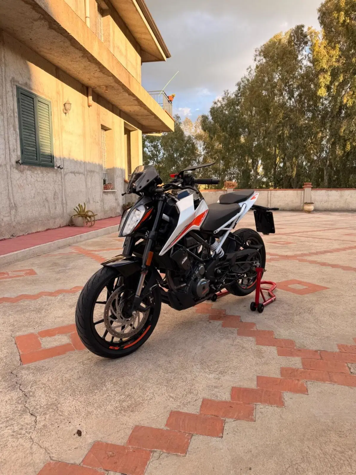 KTM 390 Duke (2021 - 23) (2)