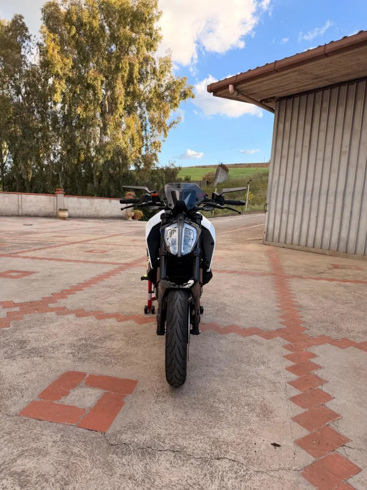 KTM 390 Duke (2021 - 23) (3)