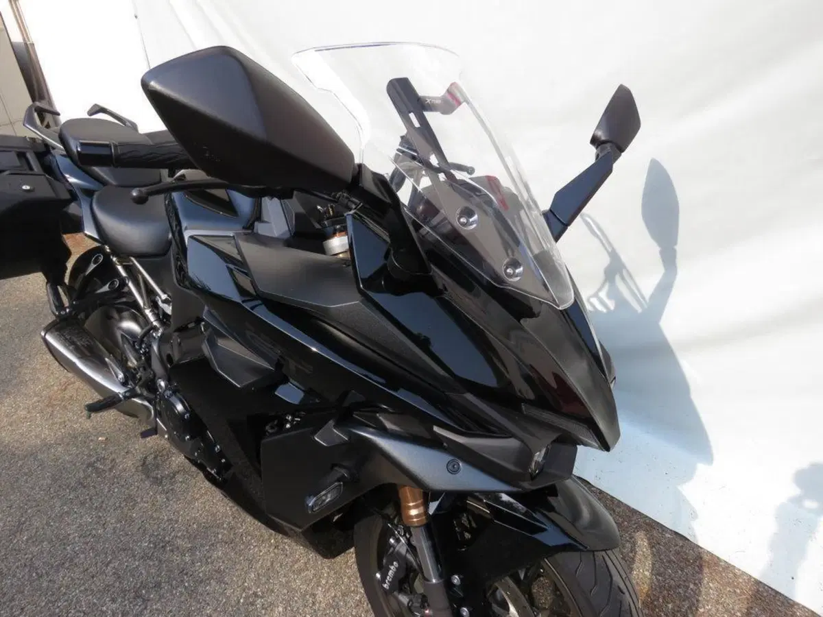 Suzuki GSX-S1000 (2021 - 25) (8)