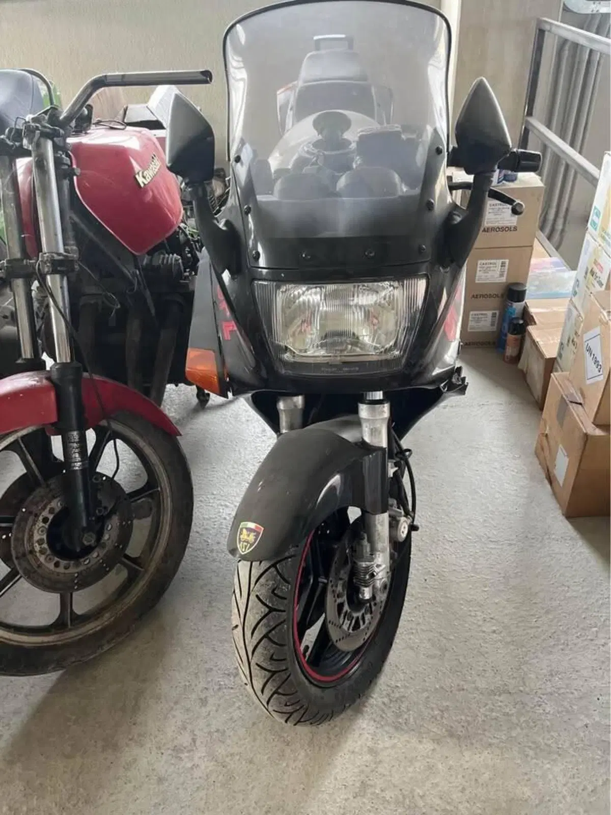 Kawasaki GPZ 1000 RX (2)