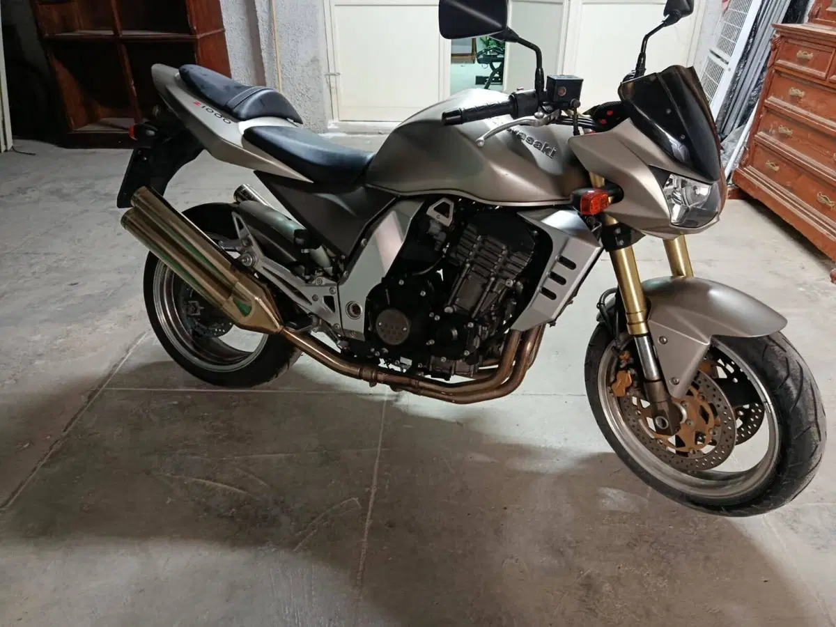 Kawasaki Z 1000 (2003 - 06) (4)