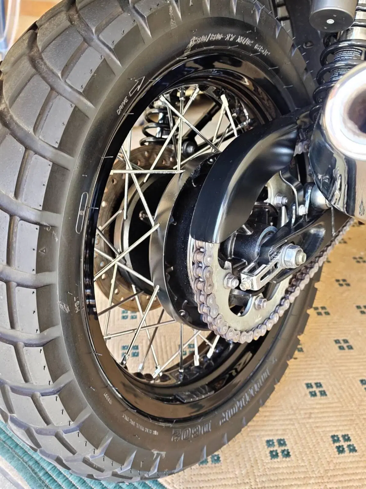 Triumph Thruxton 900 ACE (2014 - 15) (6)